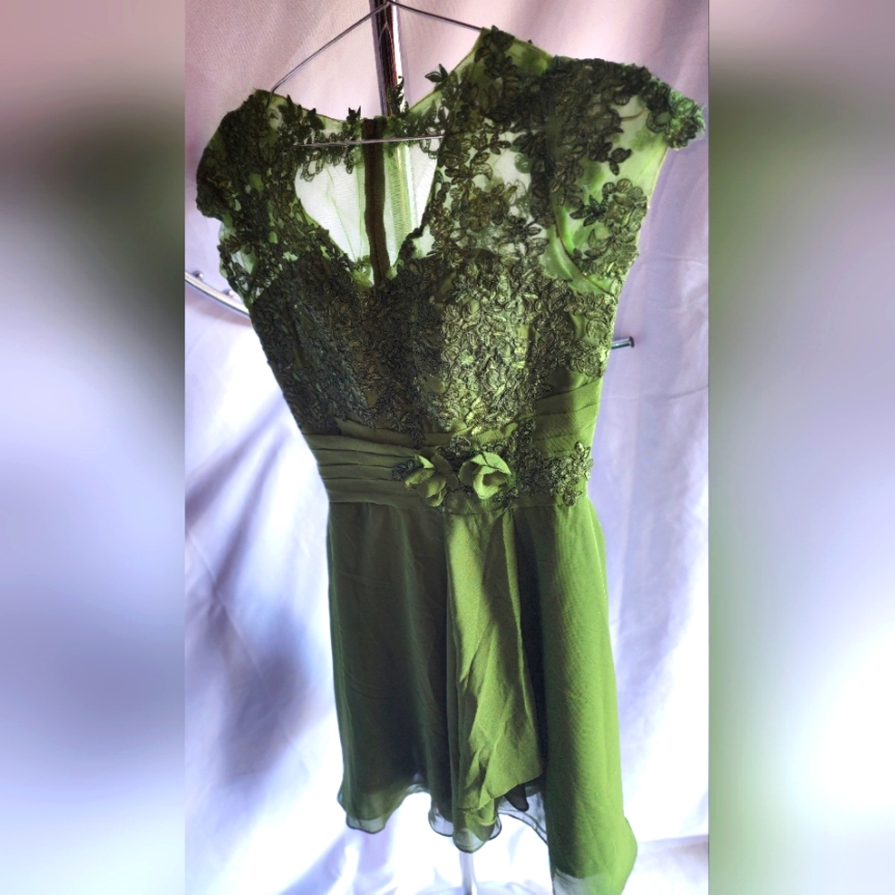 Elegant Green Lace Dress